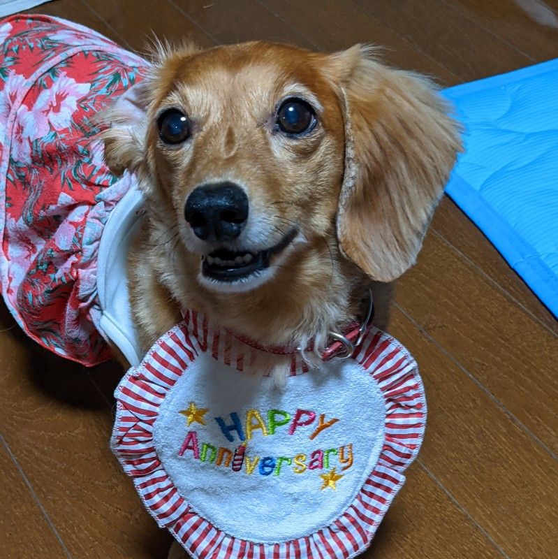 eriko