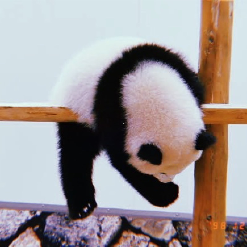 向原駿介
