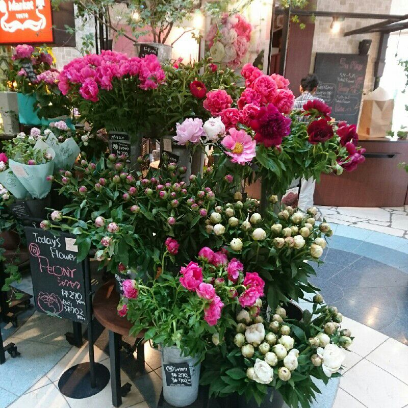 河方 由美