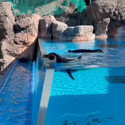 そーすけ