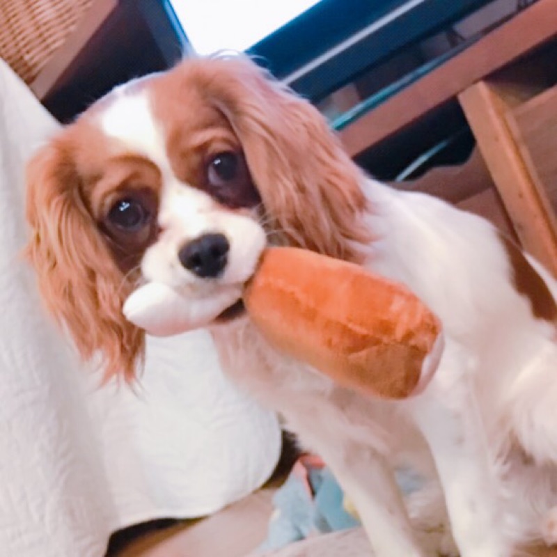 yuki