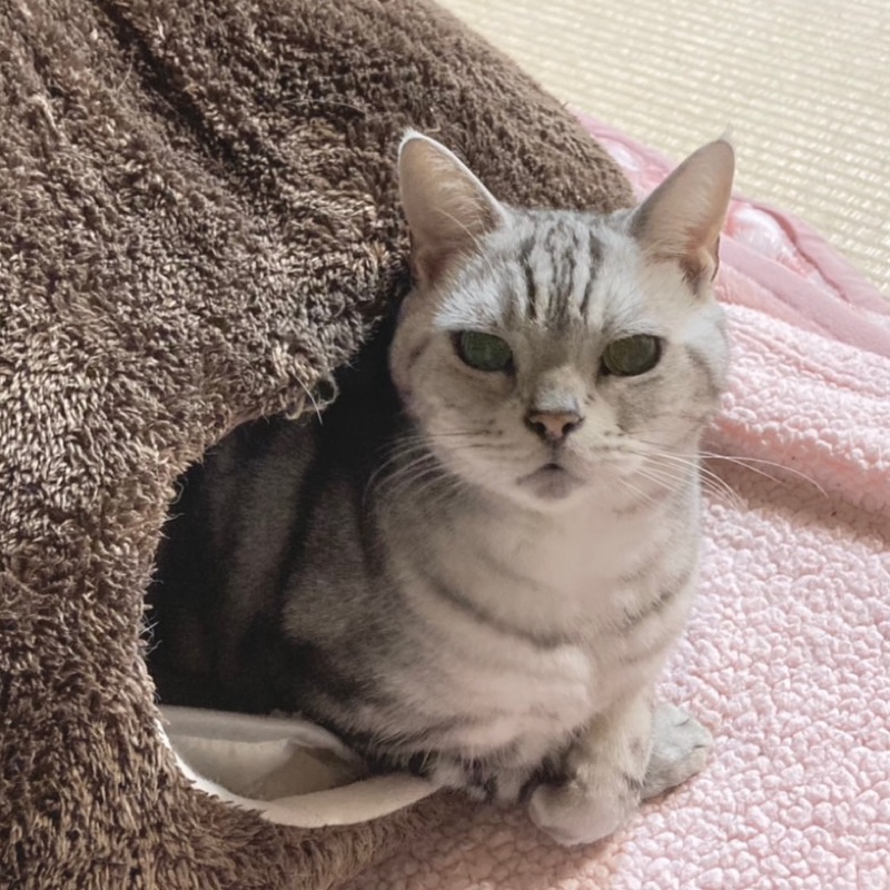 ゆり