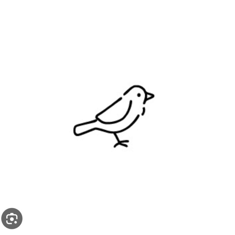 鳥井早紀