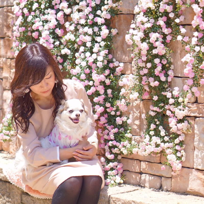 山本　順子