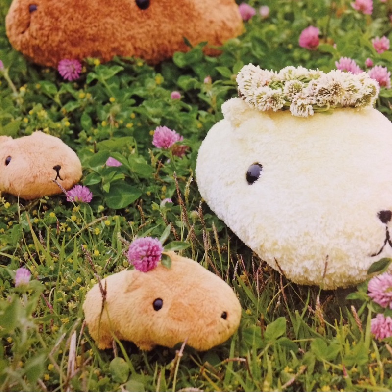 いっくんまま