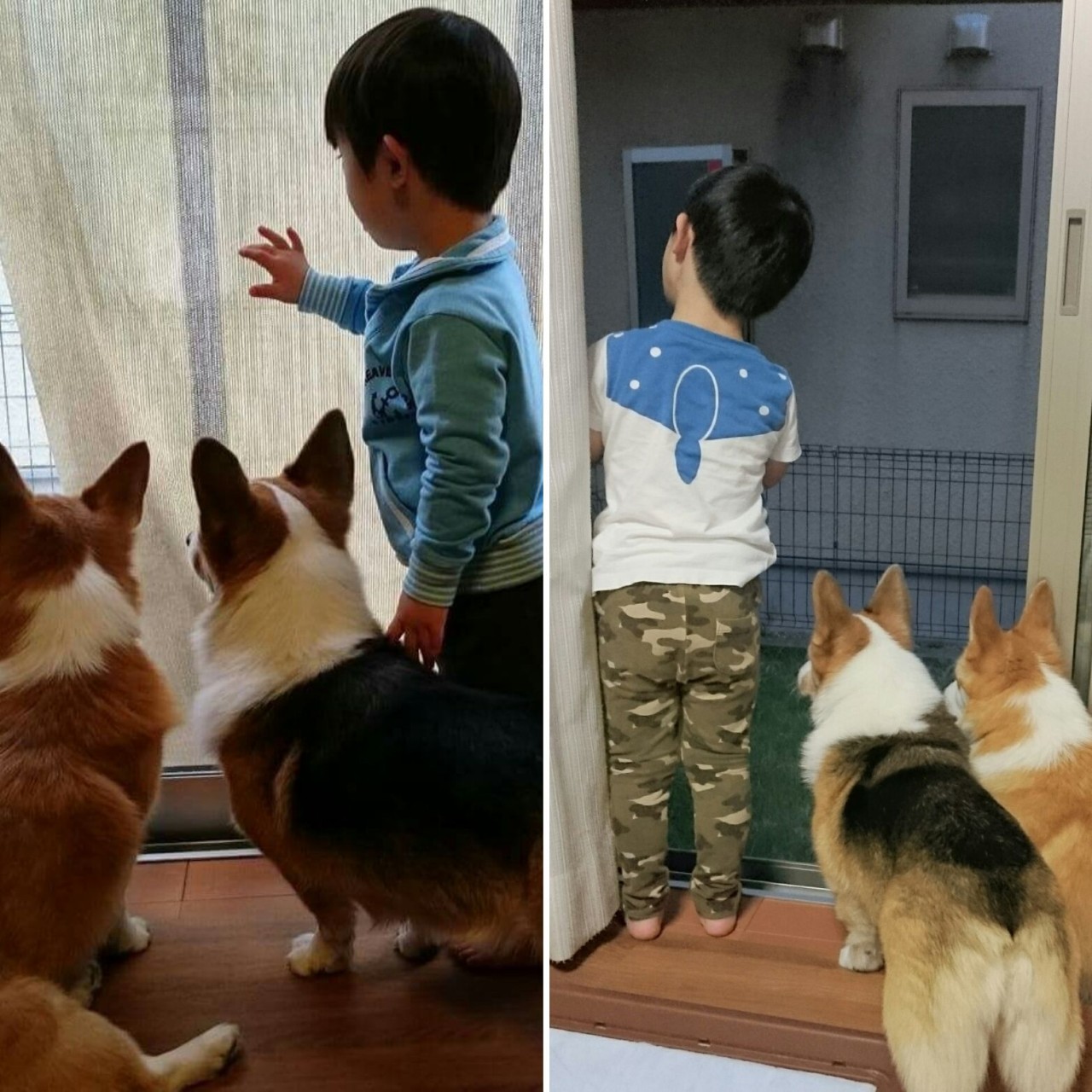 ちびた