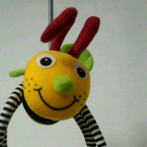 室崎紀代子