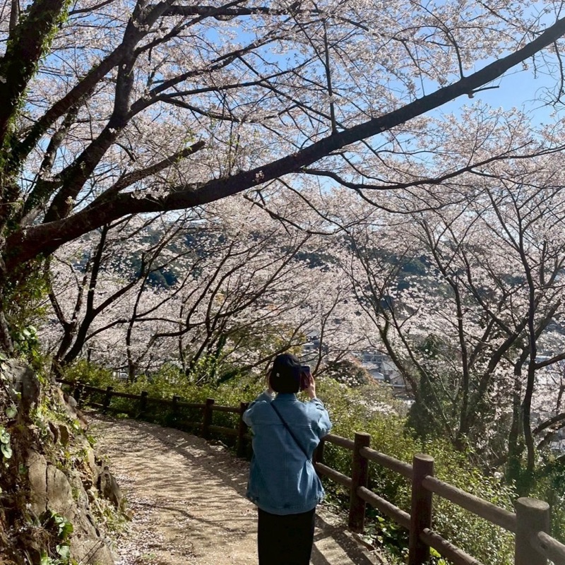 高柳可菜