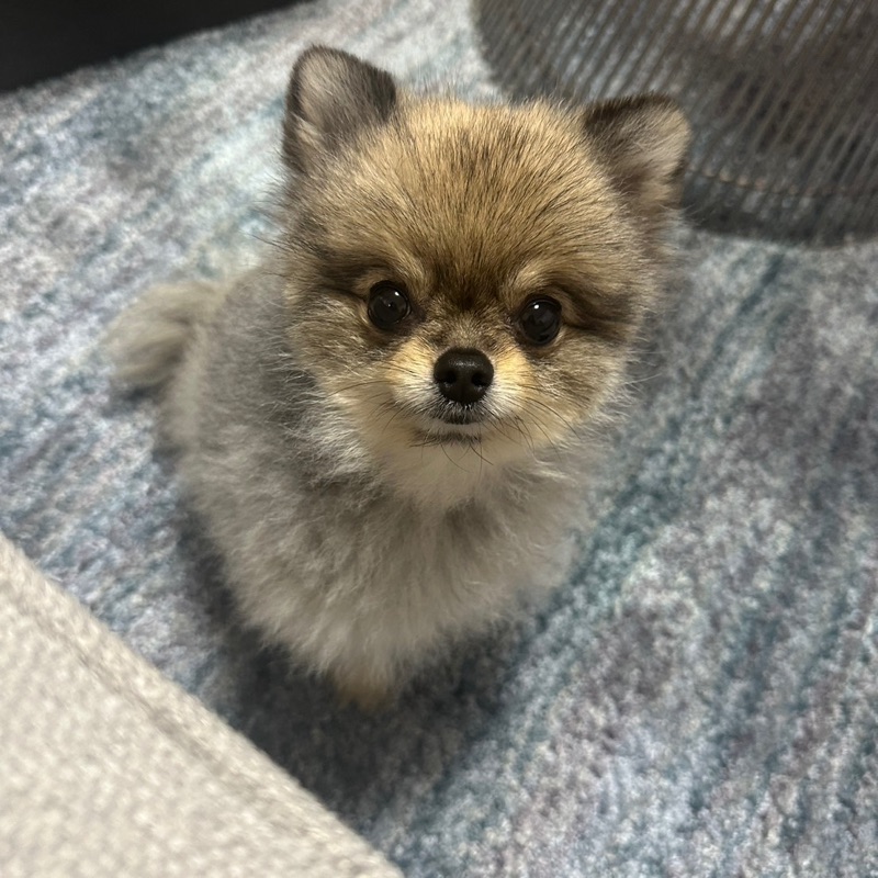 なかむら