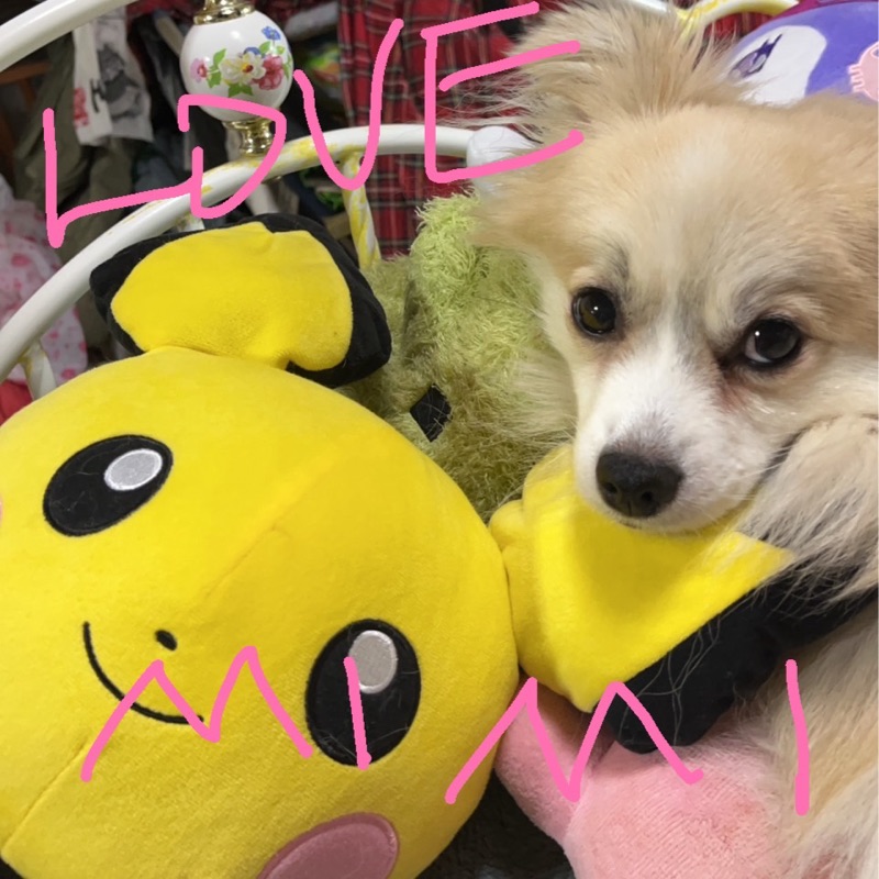 菅野仁子