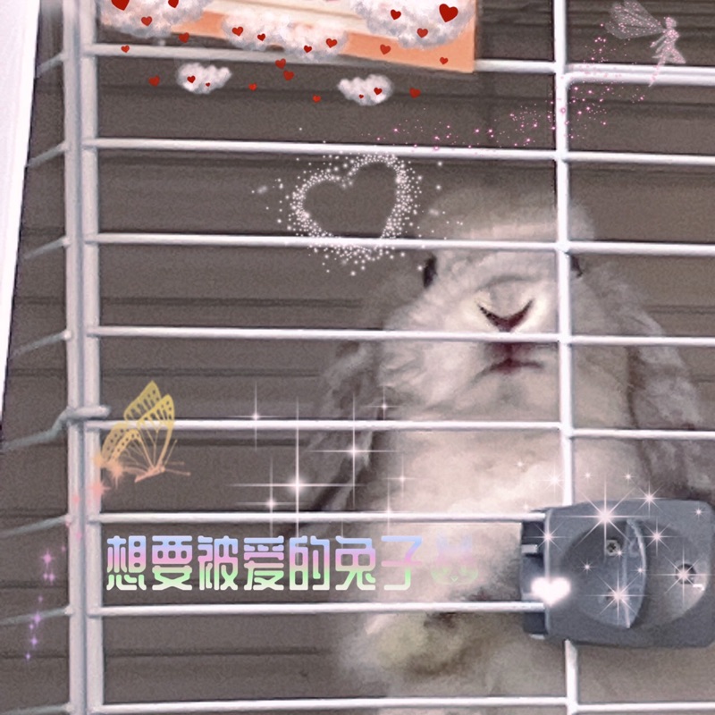 佐藤花