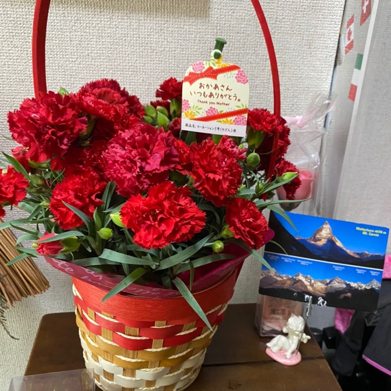 坂井久江