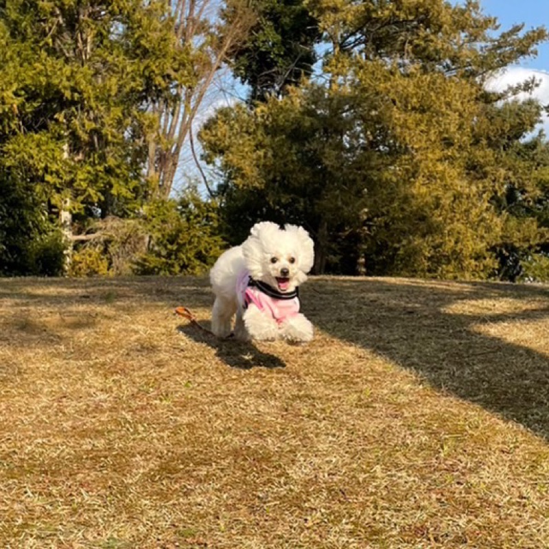木元菜々