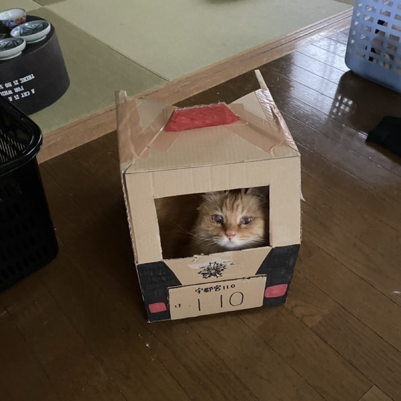 立川さおり