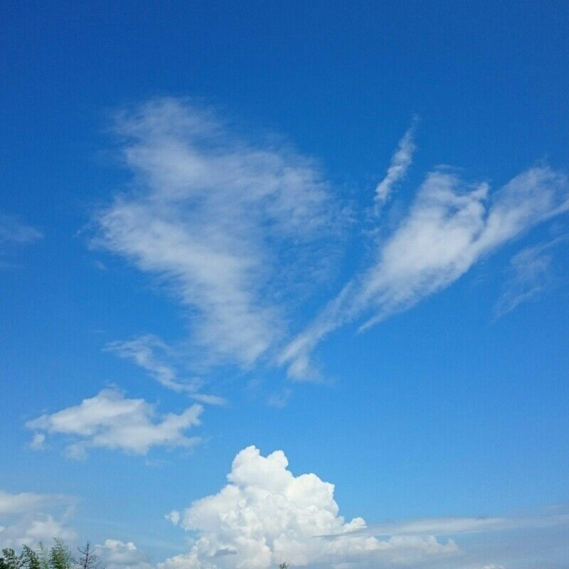 石松誠