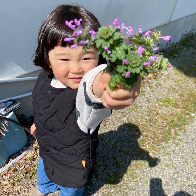 さとみん