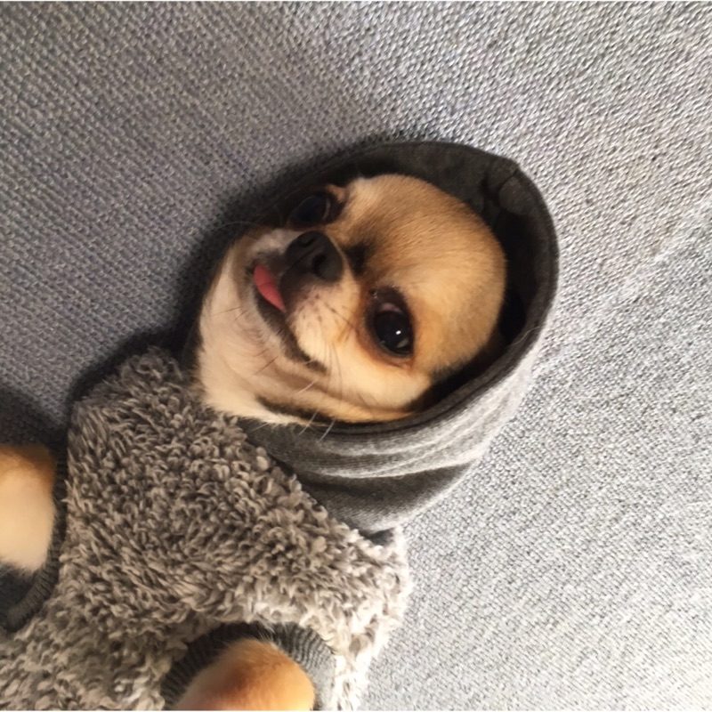 佐藤淳二