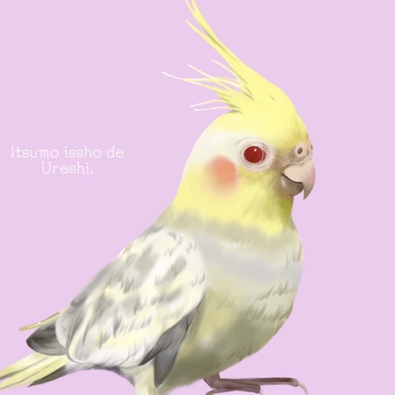 ゆ あ