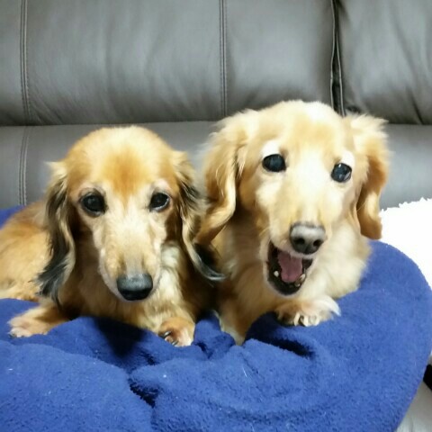 たかよ