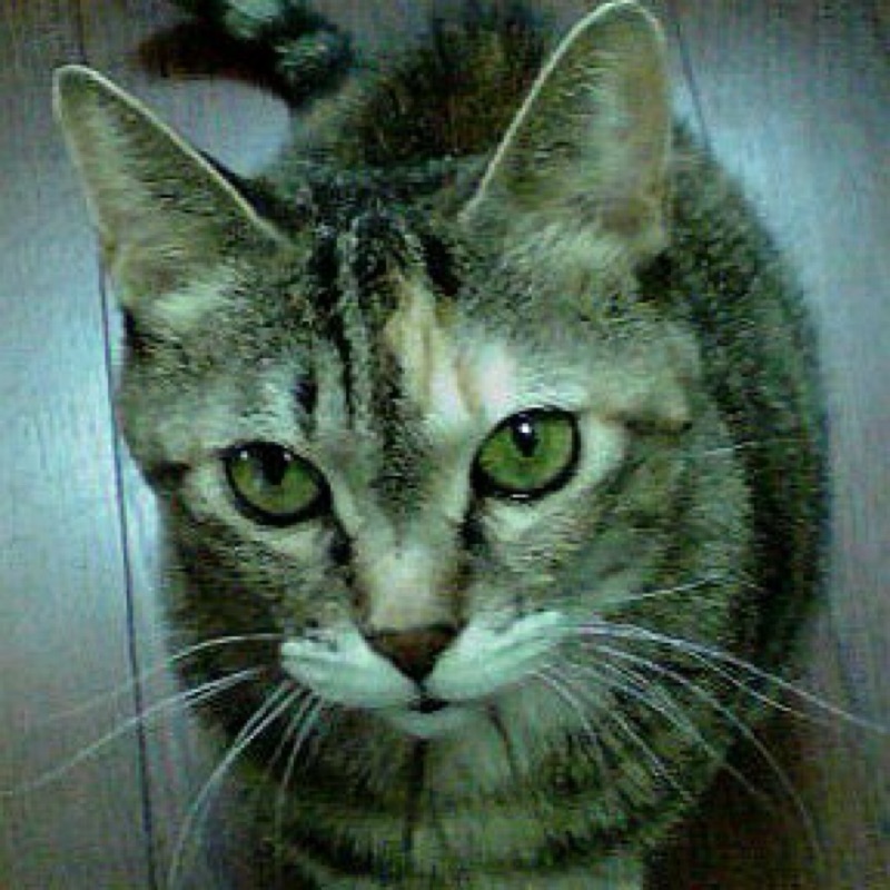荒井治子