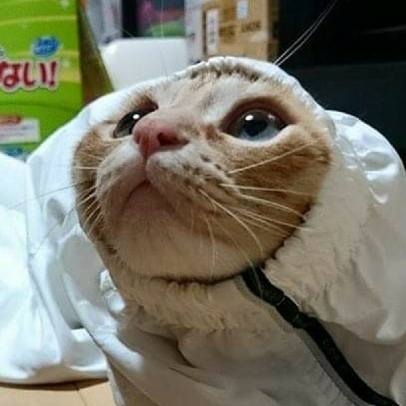 久松一夫