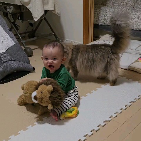 みち