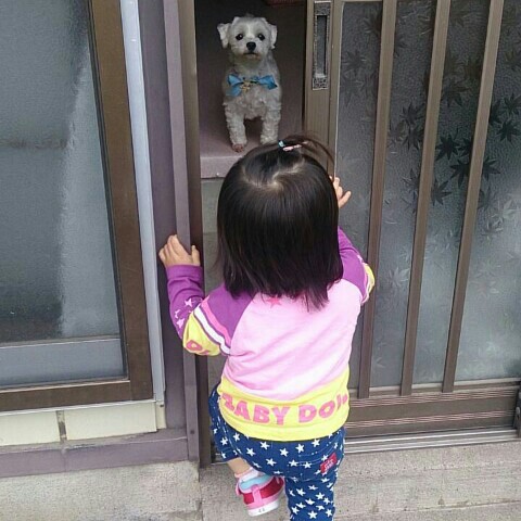 内山妃沙菜