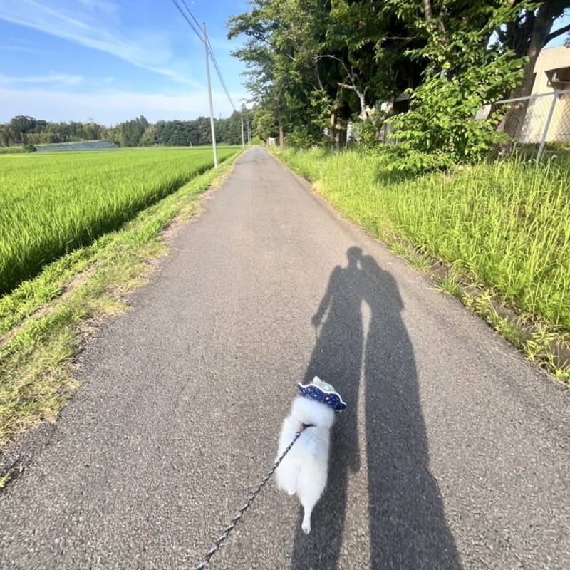 れん