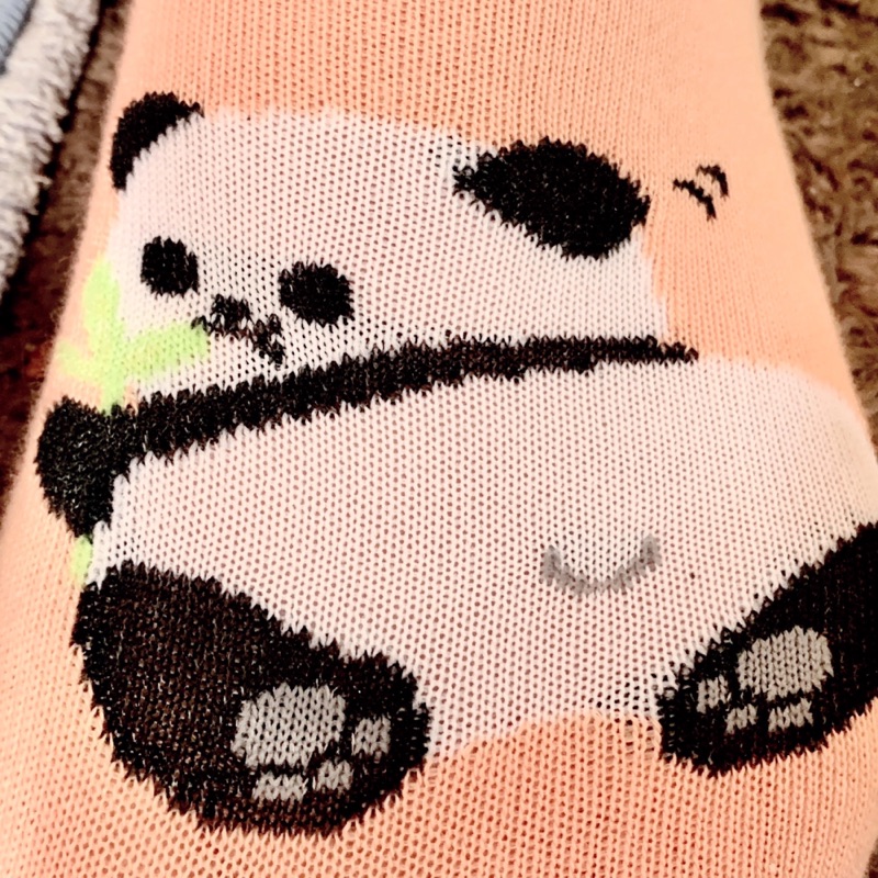 いわさ