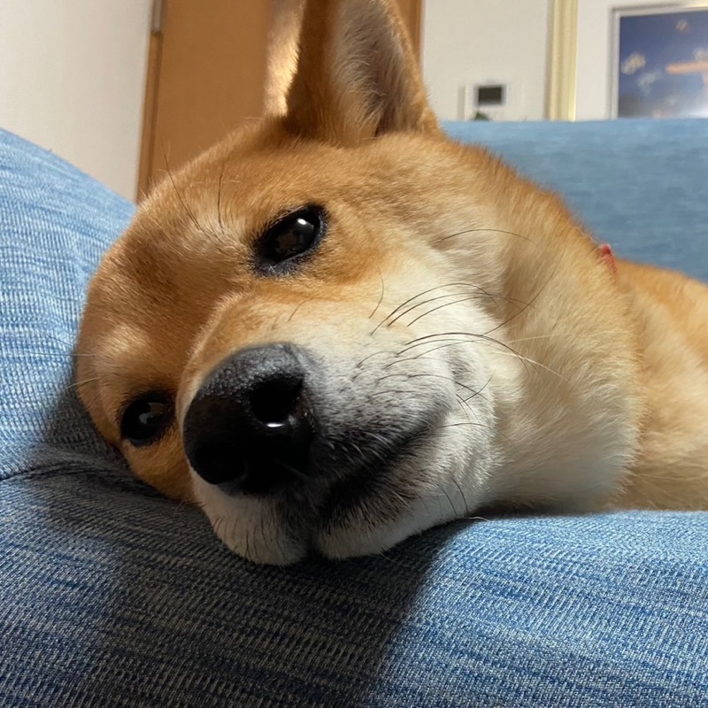 みさき