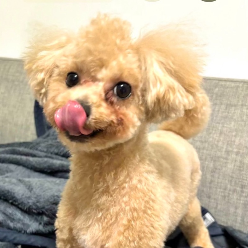 高木駿