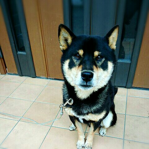 黒木さゆり