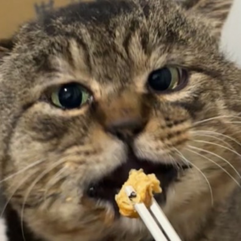 るあ