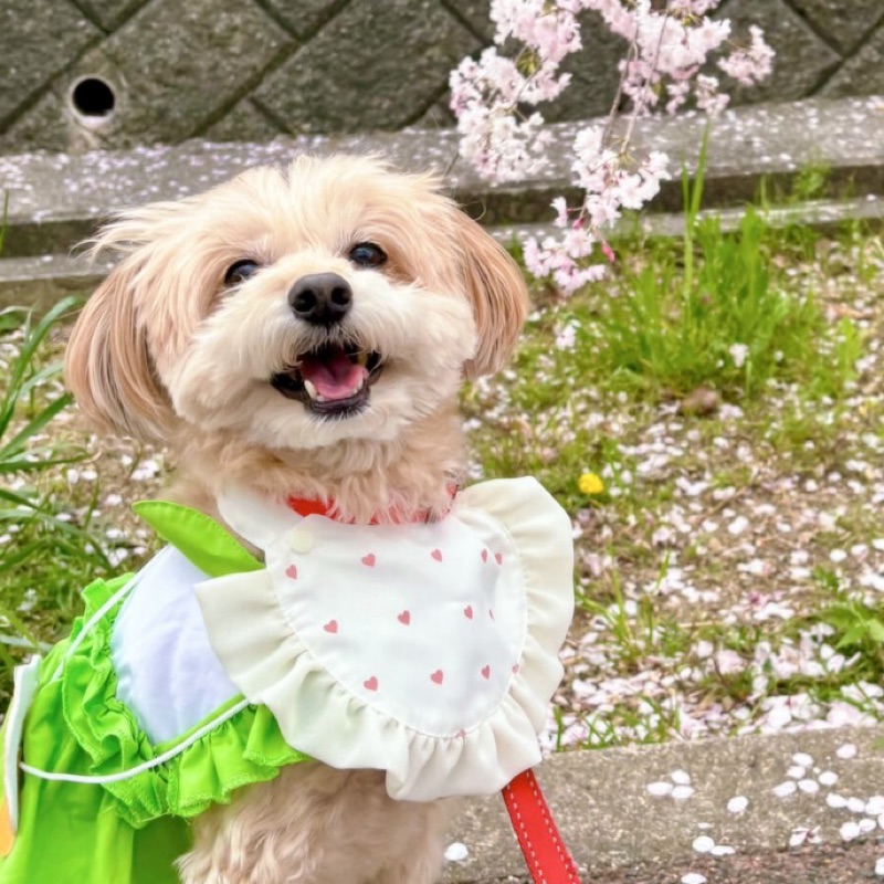 なーさん