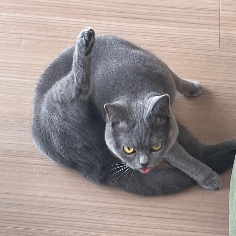 mymmmm