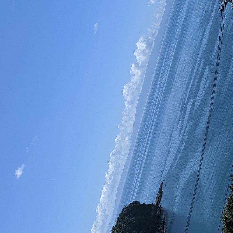 岡田　悠聖