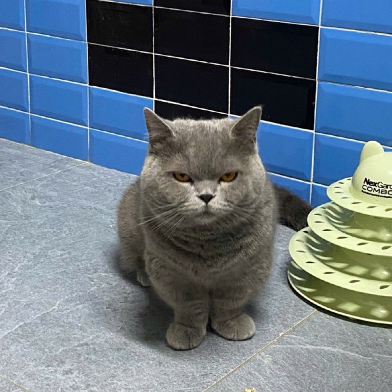 中井猛志