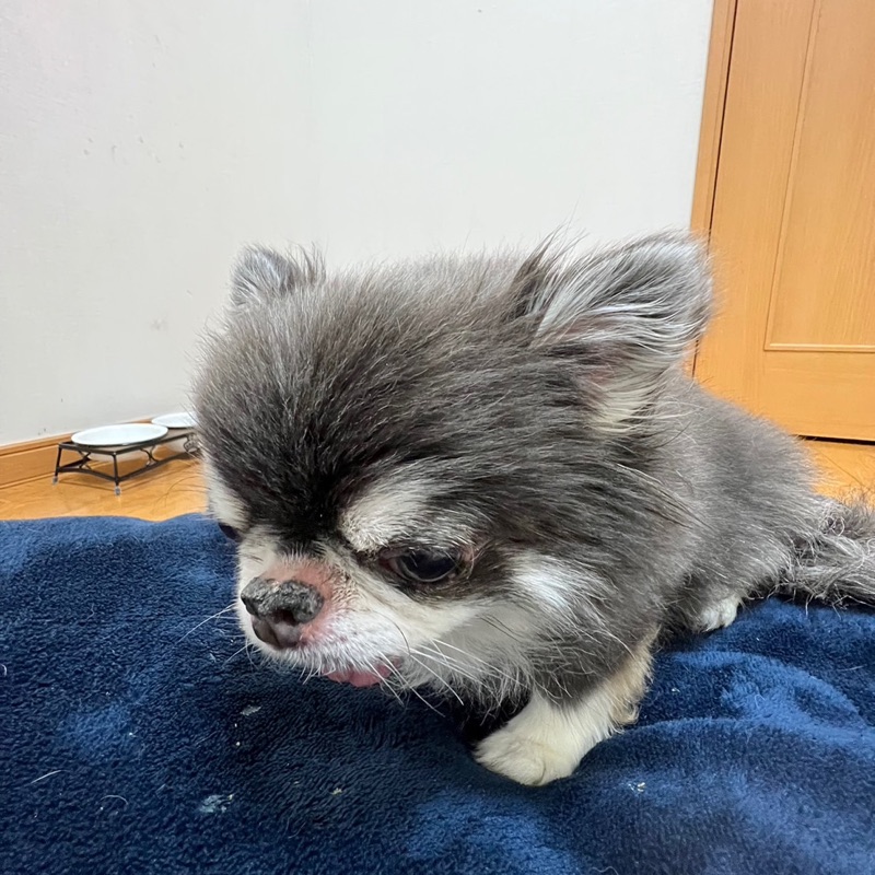 渡辺