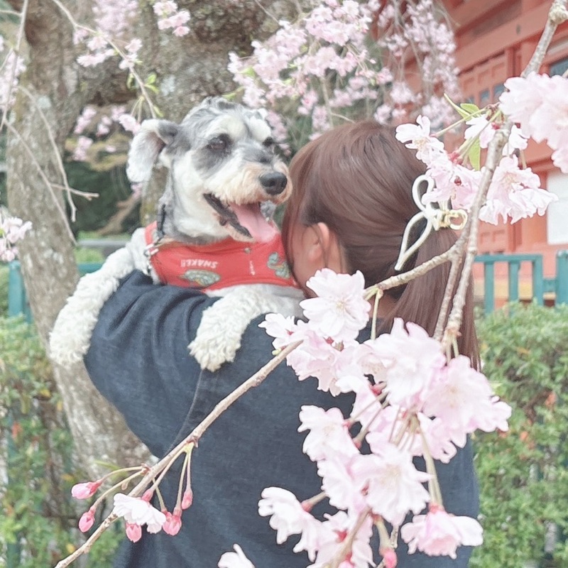 ぴ
