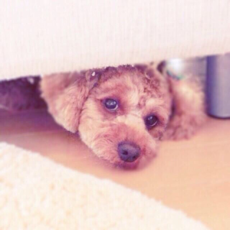 松井