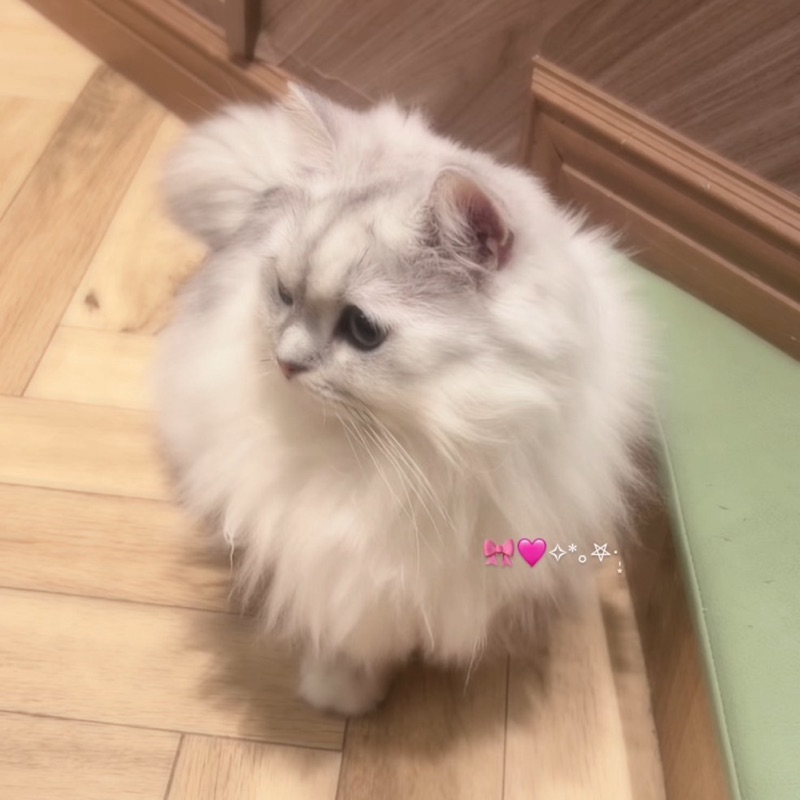 宇都宮 佑愛