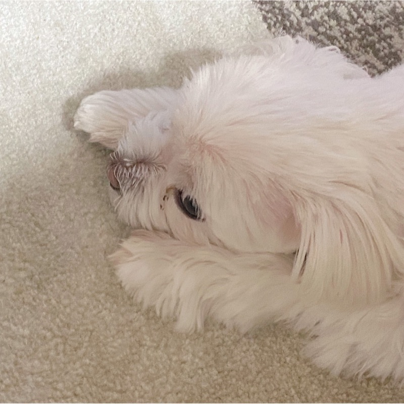 ほのか