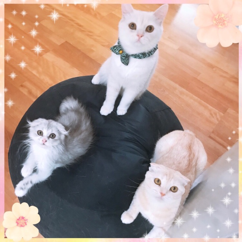 yuki