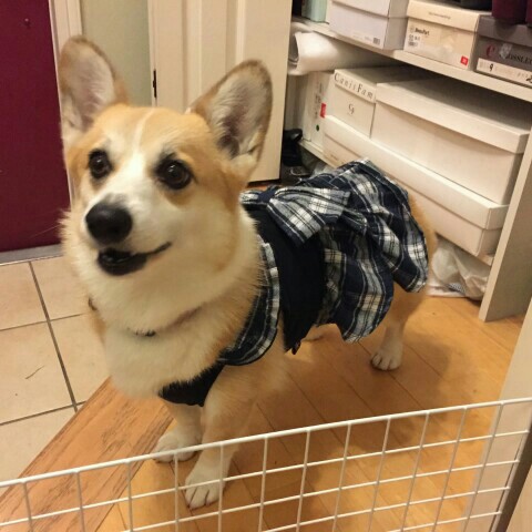 のんちゃん