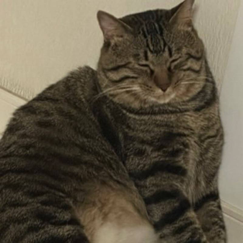 谷華凜