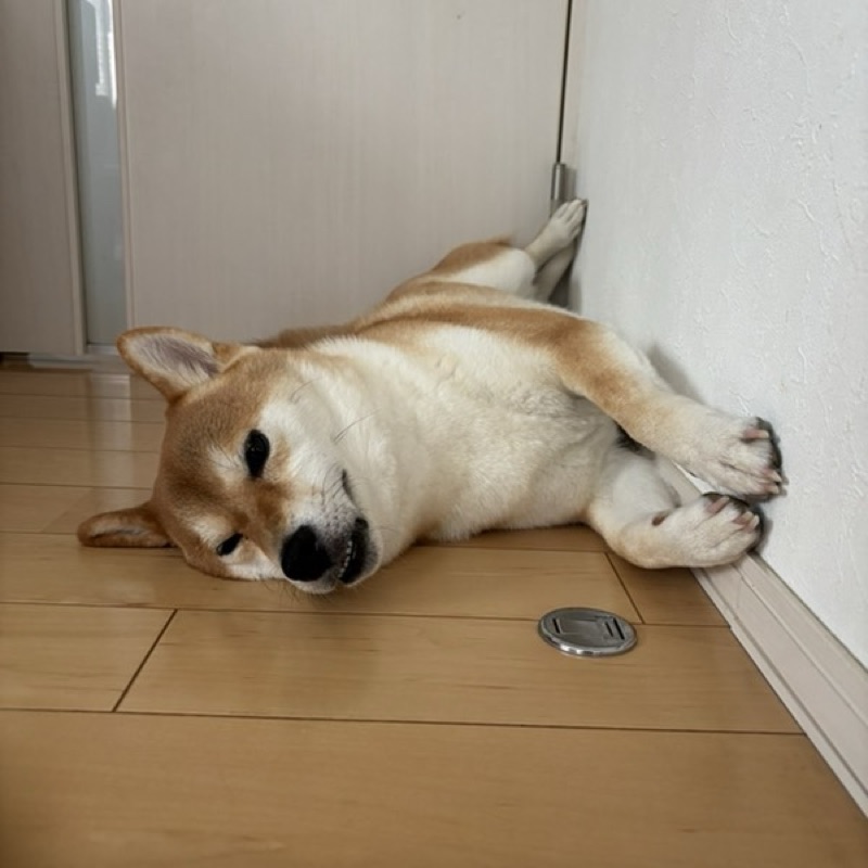 坂本寛子