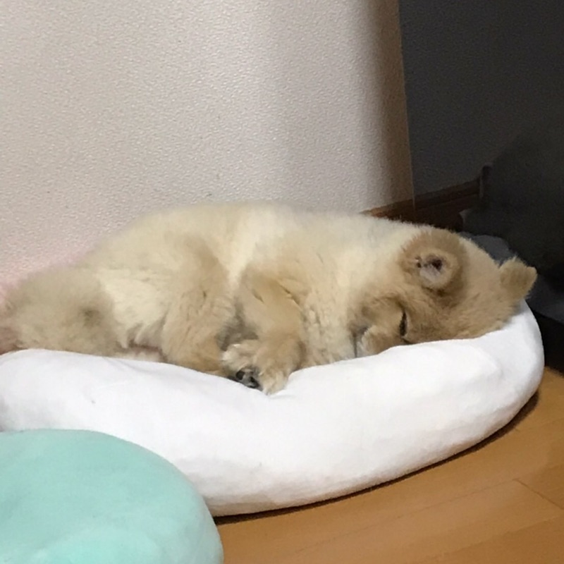 宇都野一美