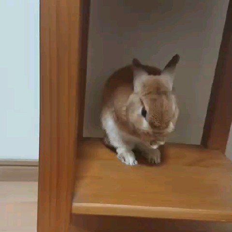 あや