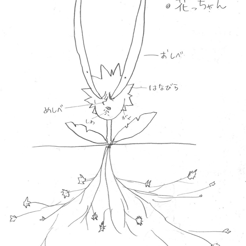 沢田永遠