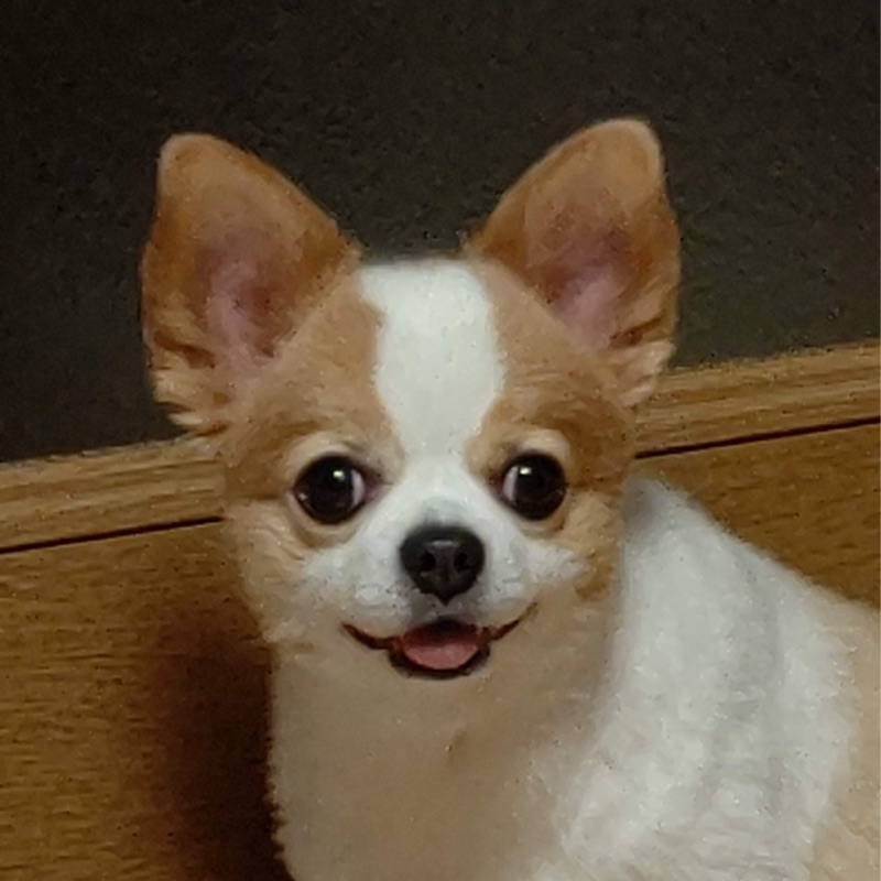 さち